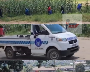 mutare municipality